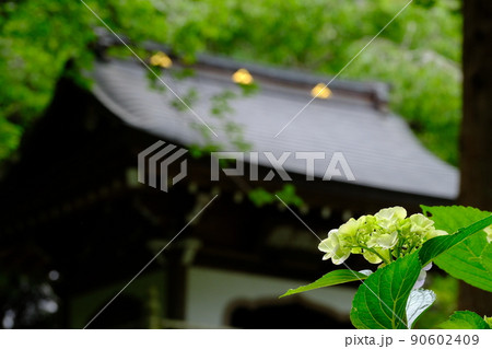 鎌倉五山 浄智寺 鎌倉五山 浄智寺 90602409