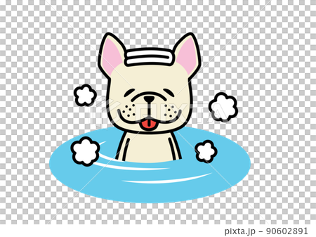 French bulldog cream with a pleasant face in the bath French bulldog cream with a pleasant face in the bath 90602891