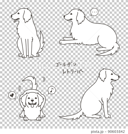 金毛獵犬 90603842