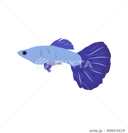 Bright icons of blue fish.. The nature of the seas and oceans. Vector illustration in flat style Bright icons of blue fish.. The nature of the seas and oceans. Vector illustration in flat style 90603929