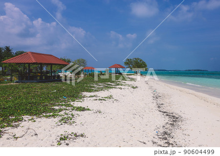 Empty White Sandy Beach with the Palm Trees and Blue Ocean Water on the Paradise Maafushi Island Empty White Sandy Beach with the Palm Trees and Blue Ocean Water on the Paradise Maafushi Island 90604499