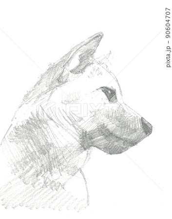 犬の鉛筆画 90604707