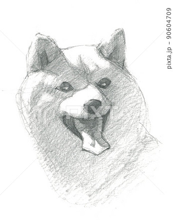 犬の鉛筆画のイラスト素材 [90604709] - PIXTA
