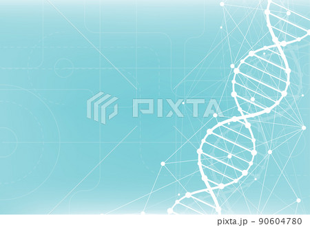 Science template, wallpaper or banner with a DNA molecules. 90604780