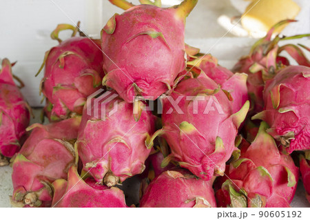 food and drink, several dragon fruit food and drink, several dragon fruit 90605192