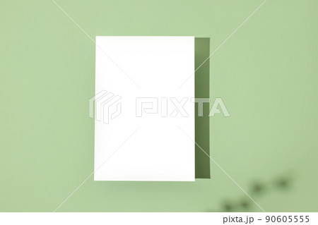Template paper with plant shadow on pastel green background , great design for any purposes. Abstract background. Banner template. Advertising  90605555