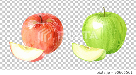 赤いリンゴと青いリンゴの水彩イラスト　アナログ手描き　背景透過 90605561