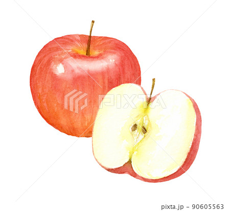 りんごの水彩イラスト　アナログ手描き　背景透過 90605563