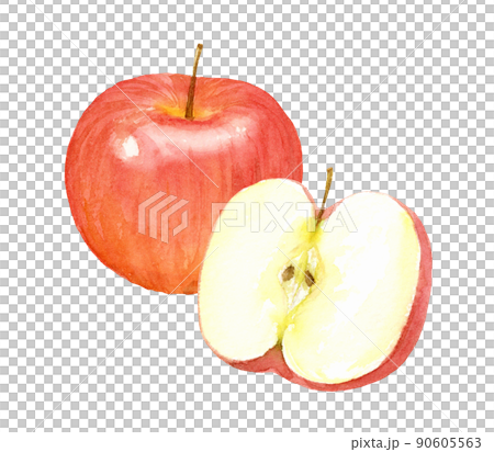 りんごの水彩イラスト　アナログ手描き　背景透過 90605563