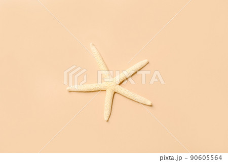 Starfish sea on beach beige background. Summer background. Decorative textile . Isolated object. 90605564
