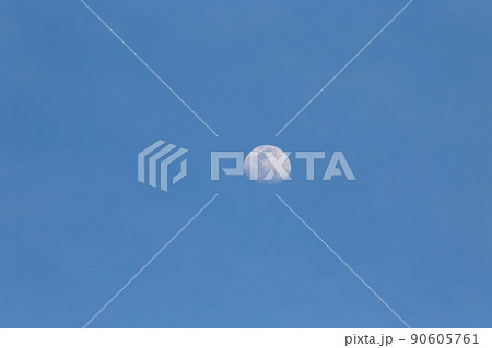 昼間の半月 90605761