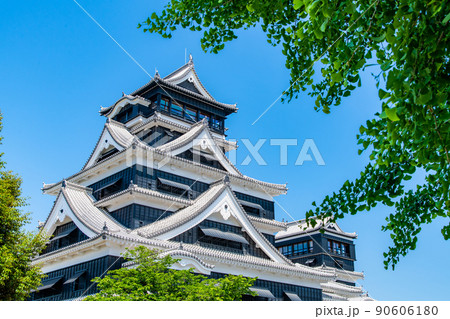 熊本県 熊本城 ~天守閣と大銀杏~ 熊本県 熊本城 ~天守閣と大銀杏~ 90606180
