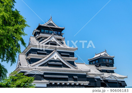 熊本県　熊本城　～天守閣と大銀杏～ 90606183