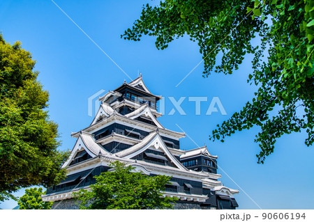 熊本県 熊本城 ~天守閣と大銀杏~ 熊本県 熊本城 ~天守閣と大銀杏~ 90606194