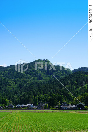 文殊山【泰澄大師，深田久弥ゆかりの山】新緑 90606613