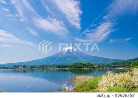 （山梨県）大石公園の湖畔から望む富士山 90606769