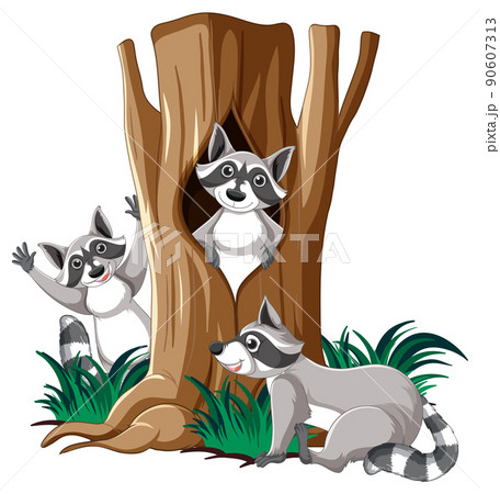 Three raccoons in the garden 90607313
