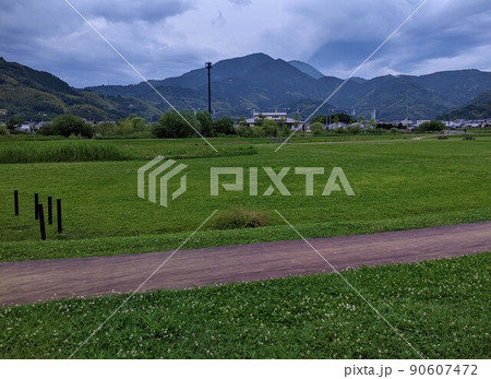 芝生が多い公園の風景 芝生が多い公園の風景 90607472