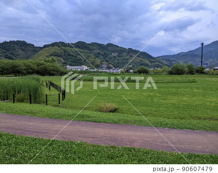 芝生の多い公園 90607479