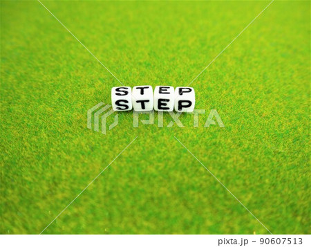 英単語 ステップ (STEP)　中央配置（芝） 90607513