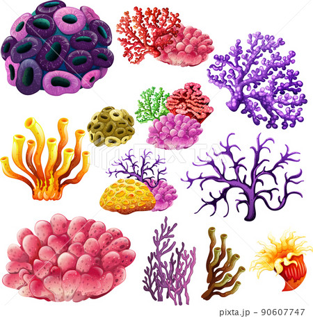 Different types of reef Different types of reef 90607747