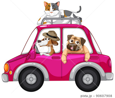 Dogs and cat riding a car on white background Dogs and cat riding a car on white background 90607908
