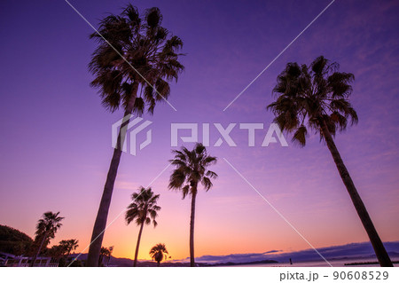 西尾市　宮崎海岸(吉良ワイキキビーチ) 90608529