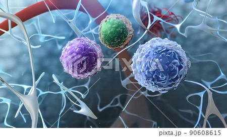 Useful cells in the immune system Useful cells in the immune system 90608615