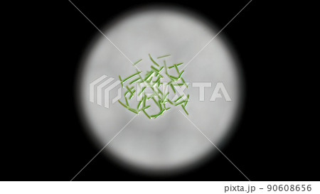 Intestinal villi with bacteria and viruses. 90608656