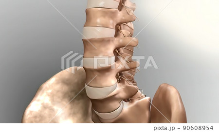 Cervical spine .Chronic Low Back Pain Cervical spine .Chronic Low Back Pain 90608954