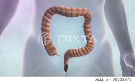 Colonoscopy is the visualization of the large intestine with a tube called a colonoscope. 90608970