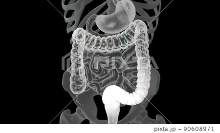 Colonoscopy is the visualization of the large intestine with a tube called a colonoscope. 90608971