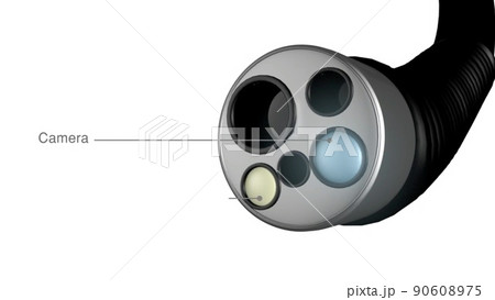 Introducing the colonoscopy device by eamining 90608975