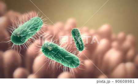 Intestinal villi with bacteria and viruses. 90608981