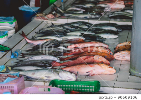 Fresh Fishes on the Fish Central Market in Male City 90609106
