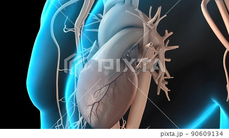 Coronary artery spasm is a brief, sudden narrowing of one of these arteries. Coronary artery spasm is a brief, sudden narrowing of one of these arteries. 90609134