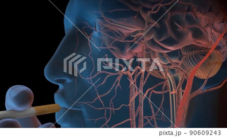 Smoking man, its effects on the brain Smoking man, its effects on the brain 90609243