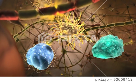 Cells in the nervous system 90609415