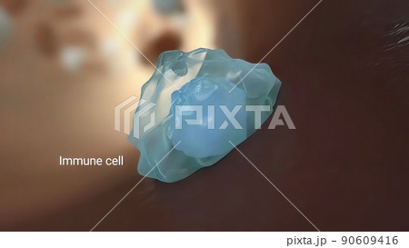 Cells immune that fight the virus 90609416