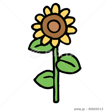 Handwritten style illustration sunflower - Stock Illustration [90609515] -  PIXTA