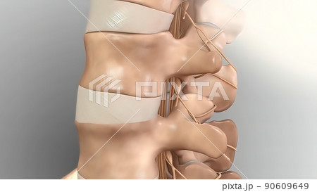 Cervical spine .Chronic Low Back Pain 90609649