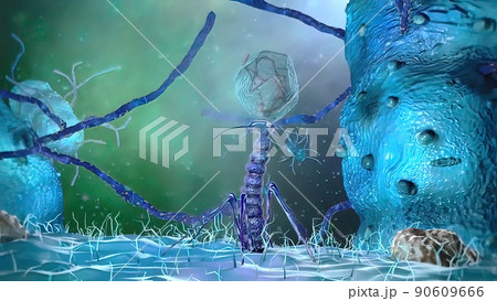 3D illustration of a Bacteriophage Virus Killing Bacteria. 3D illustration of a Bacteriophage Virus Killing Bacteria. 90609666