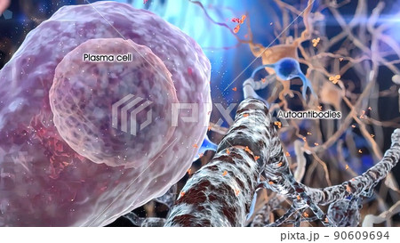 T helper cells interact on the surface of immune cells 90609694