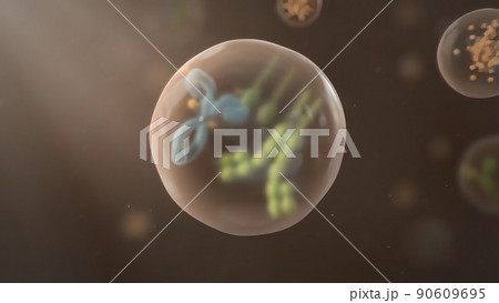 Cells provide main functions.They provide structure and support 90609695