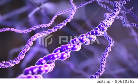 Cell nucleus and DNA in the science of biology. Cell nucleus and DNA in the science of biology. 90610265