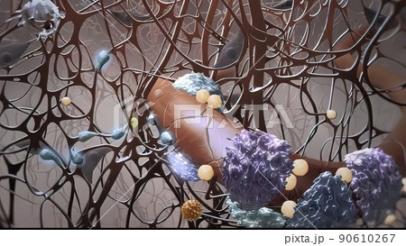 Microbiology illustration cells that protect the immune system 90610267