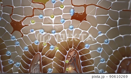 Microbiology illustration cells that protect the immune system 90610269