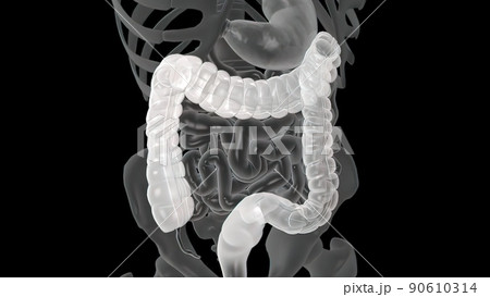Colonoscopy Biopsy Of The Gastrointestinal Tract In Patients 90610314