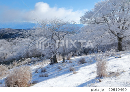 真冬の朝、凍てつく雪山風景（茶臼山　愛知県 豊根村） 90610460