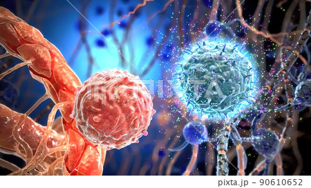 T helper cells interact on the surface of immune cells T helper cells interact on the surface of immune cells 90610652